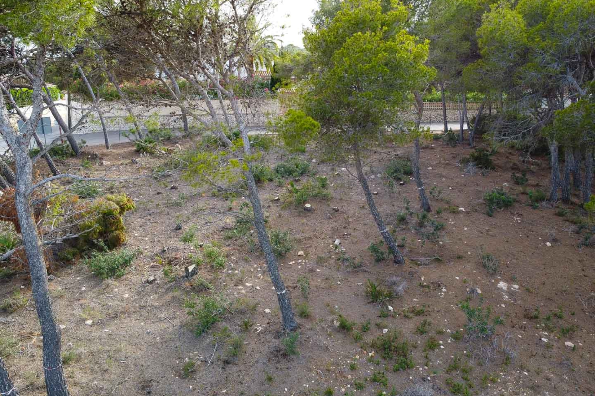 Wiederverkauf - Grundstücke -
Jávea - Balcon al Mar