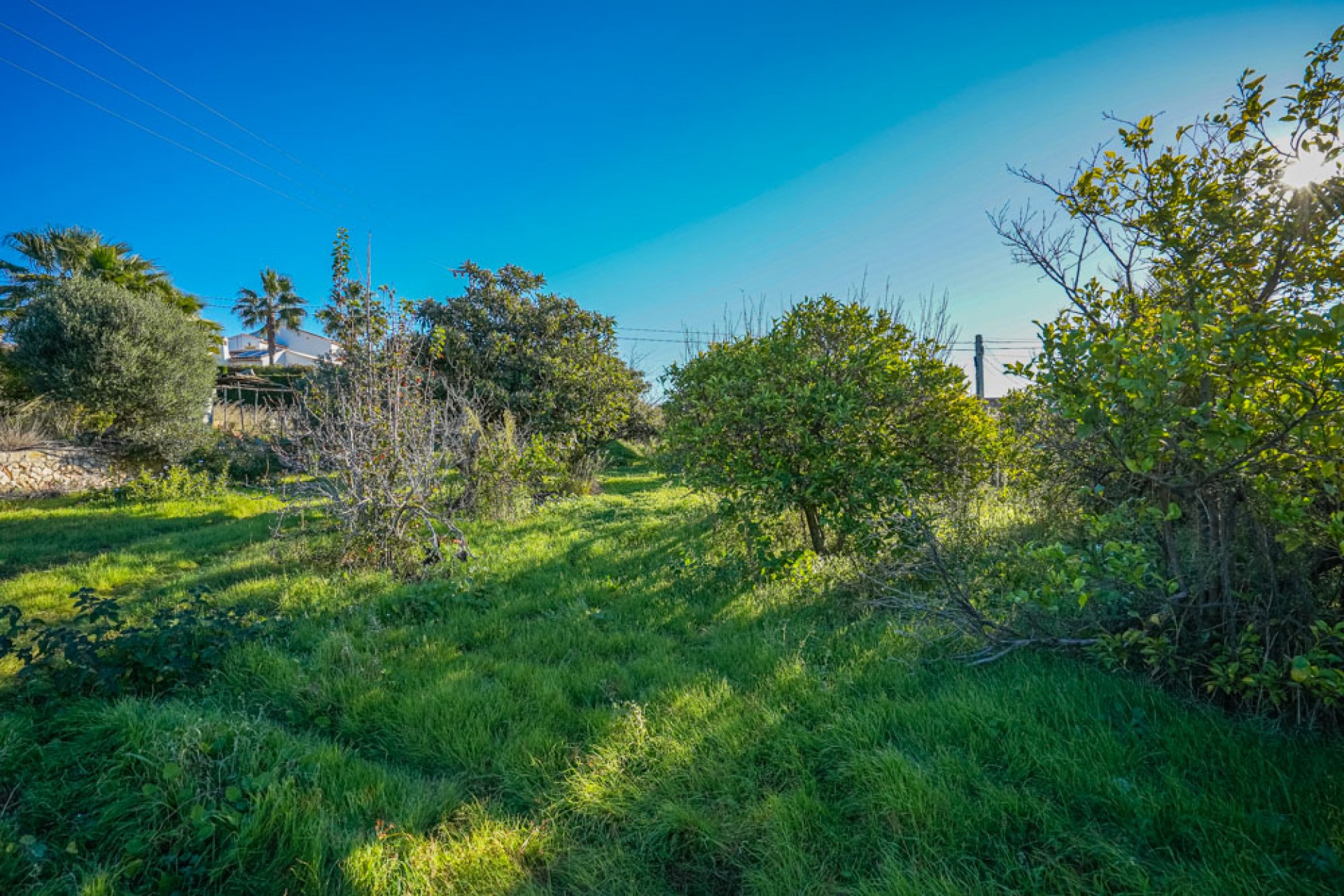 Wiederverkauf - Grundstücke -
Jávea - Valls