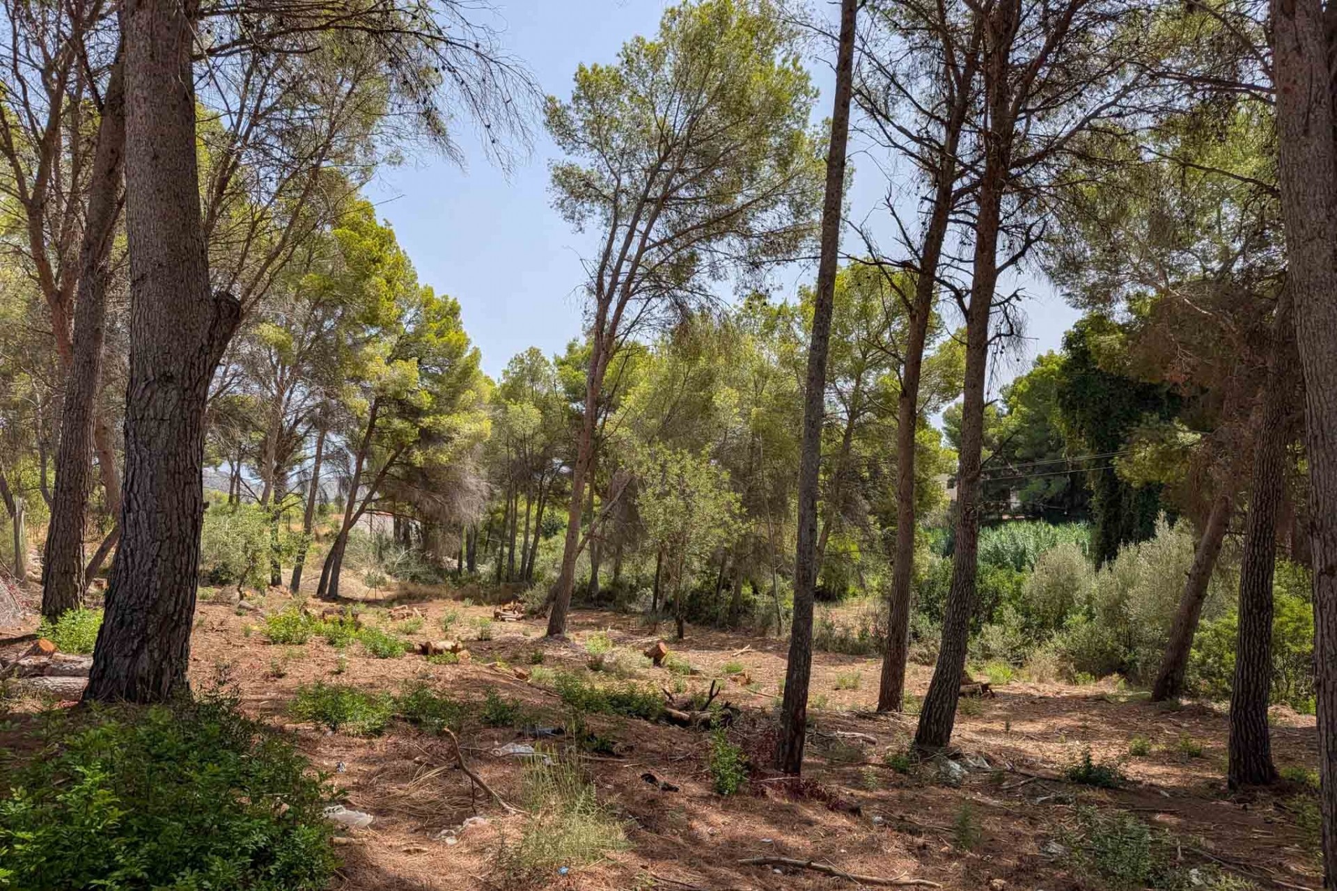 Wiederverkauf - Grundstücke -
Moraira - Pinar del Advocat