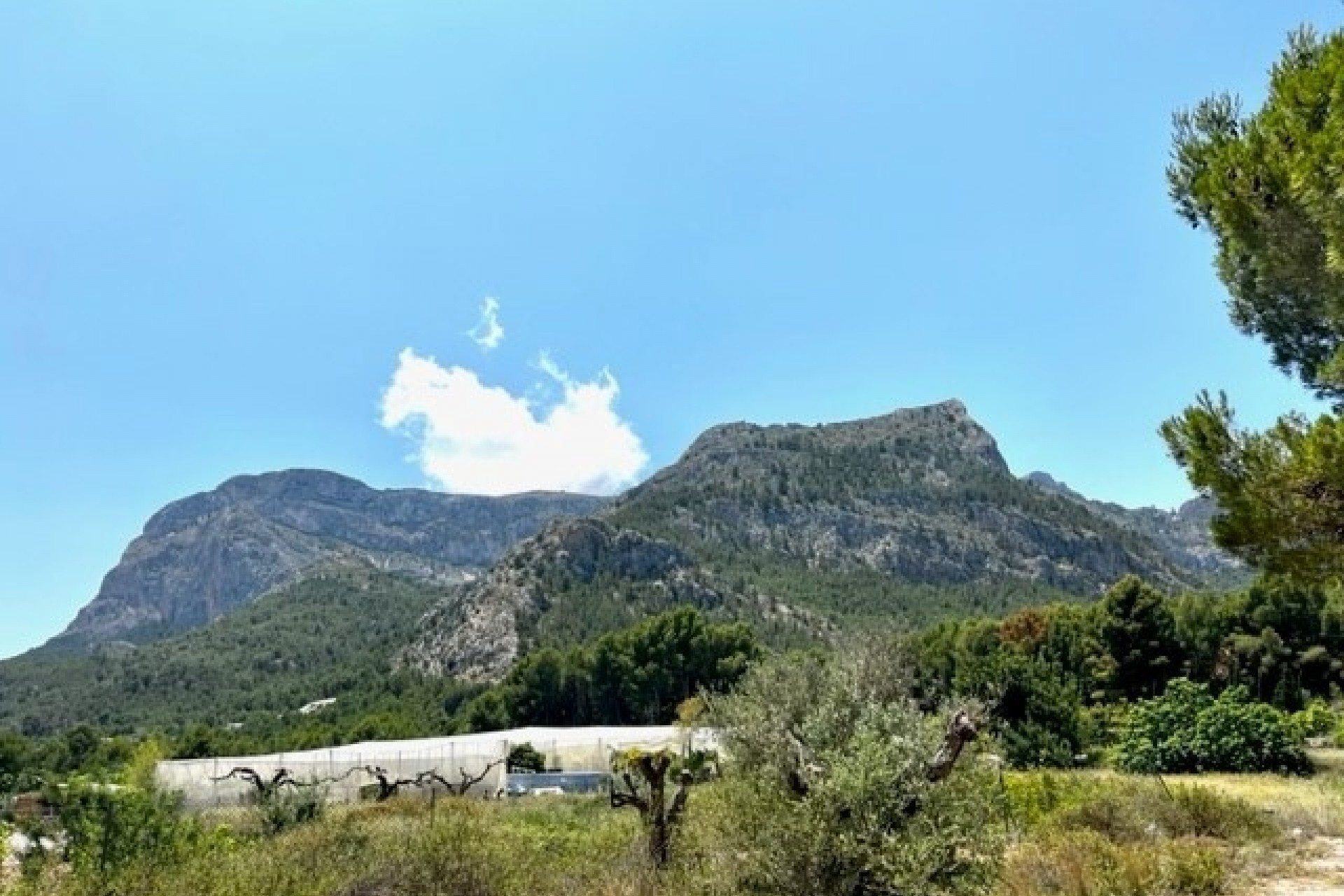 Wiederverkauf - Grundstücke -
Polop