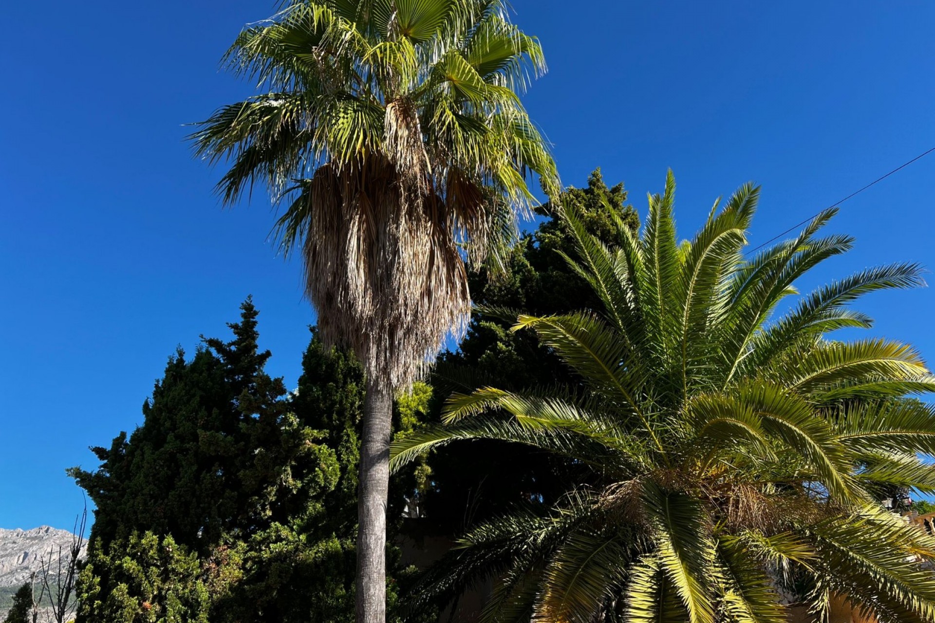Wiederverkauf - Villa -
Altea la Vella - Altea