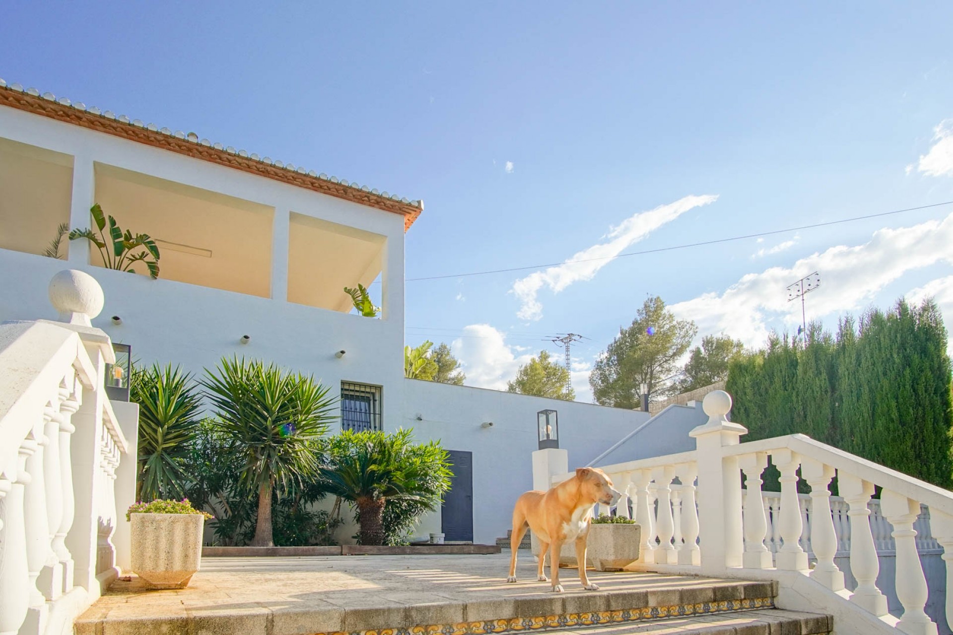 Wiederverkauf - Villa -
Denia - Las Rotas