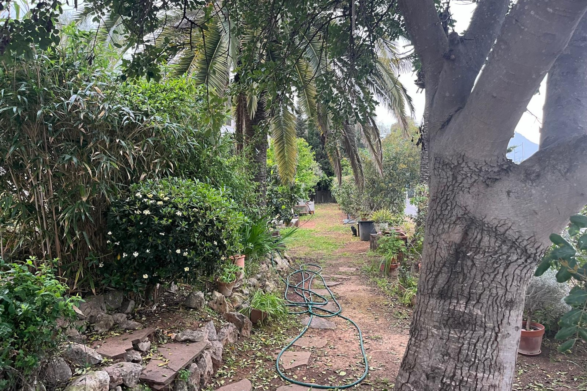 Wiederverkauf - Villa -
Jávea / Xàbia - Cap Martí - El Tossalet - Pinomar