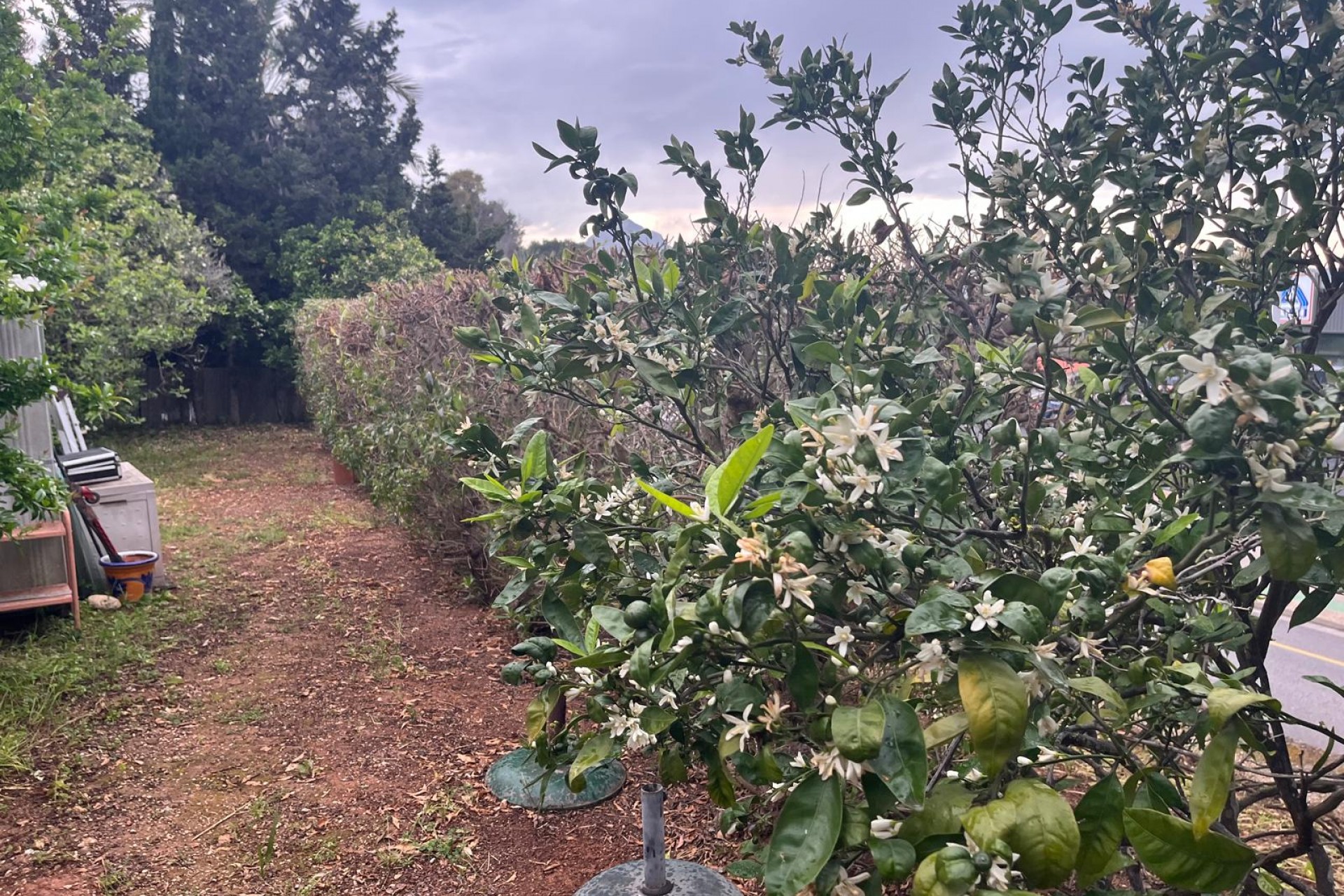Wiederverkauf - Villa -
Jávea / Xàbia - Cap Martí - El Tossalet - Pinomar