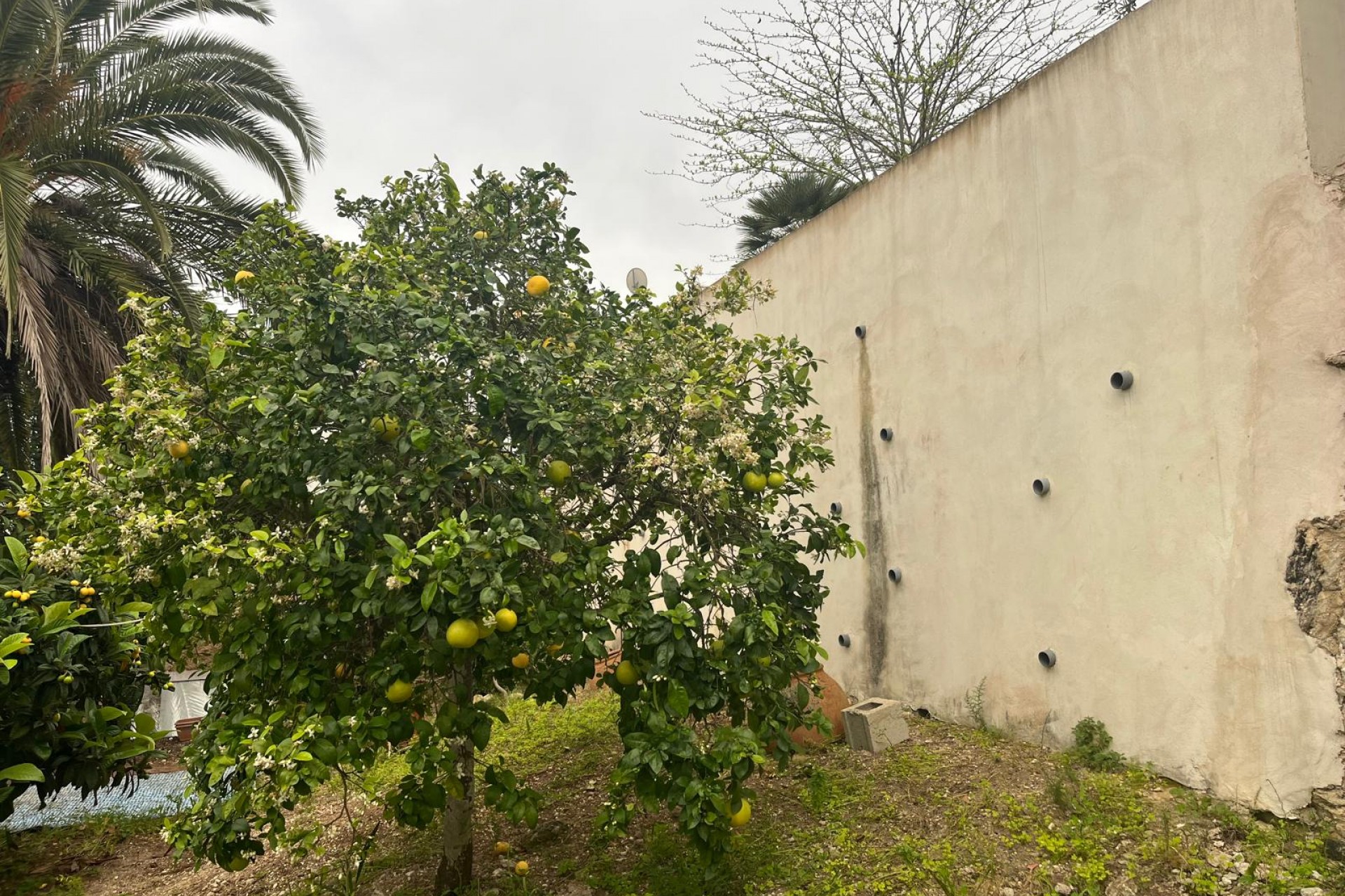 Wiederverkauf - Villa -
Jávea / Xàbia - Cap Martí - El Tossalet - Pinomar