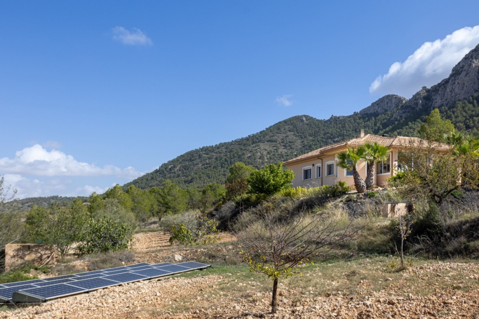 Wiederverkauf - Villa -
La Zarza