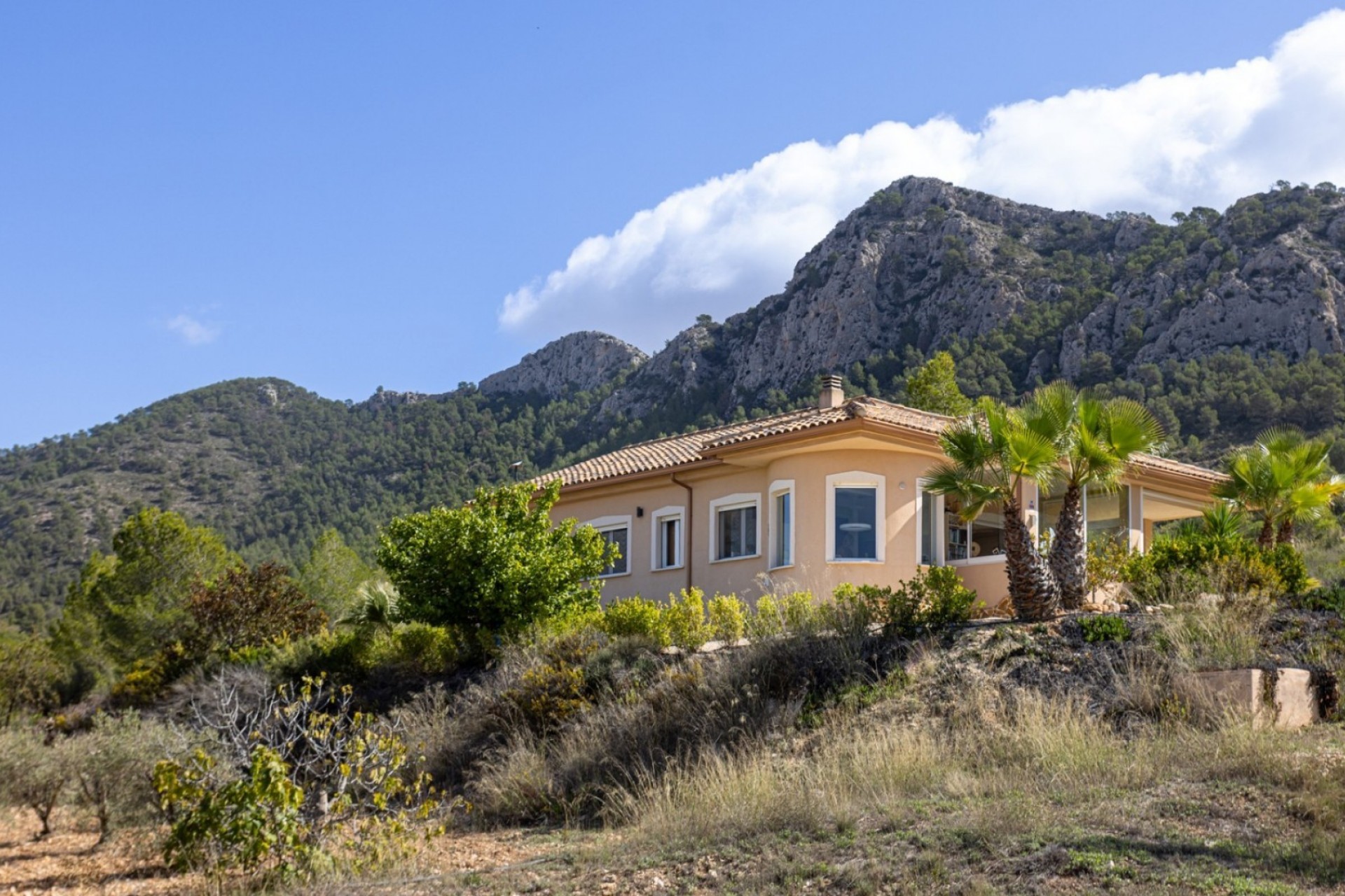 Wiederverkauf - Villa -
La Zarza