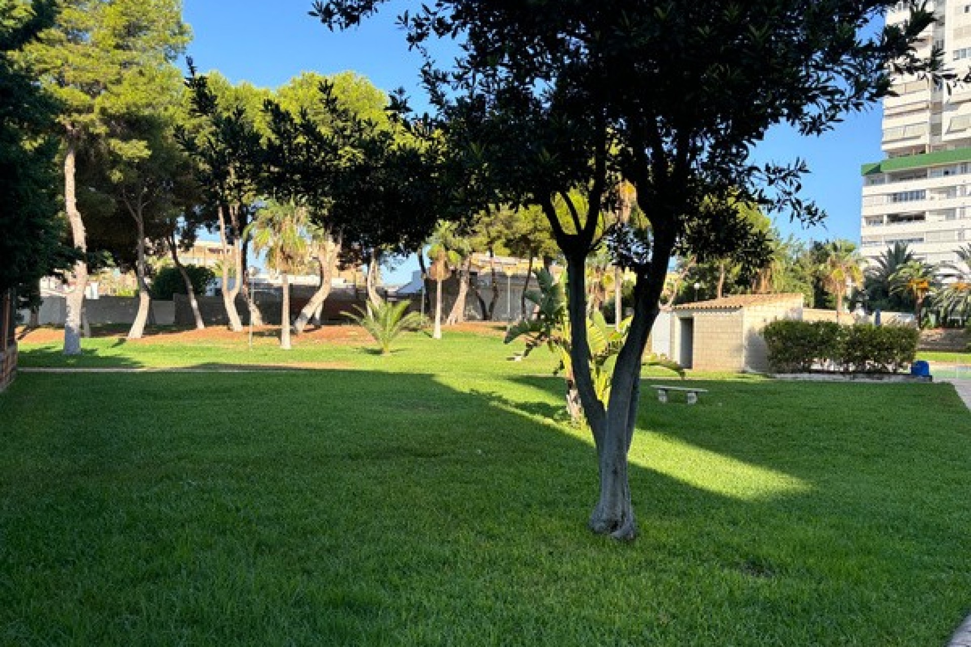 Wiederverkauf - Wohnung -
Benidorm