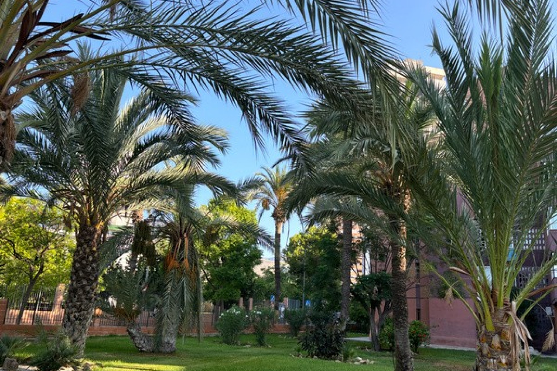 Wiederverkauf - Wohnung -
Benidorm