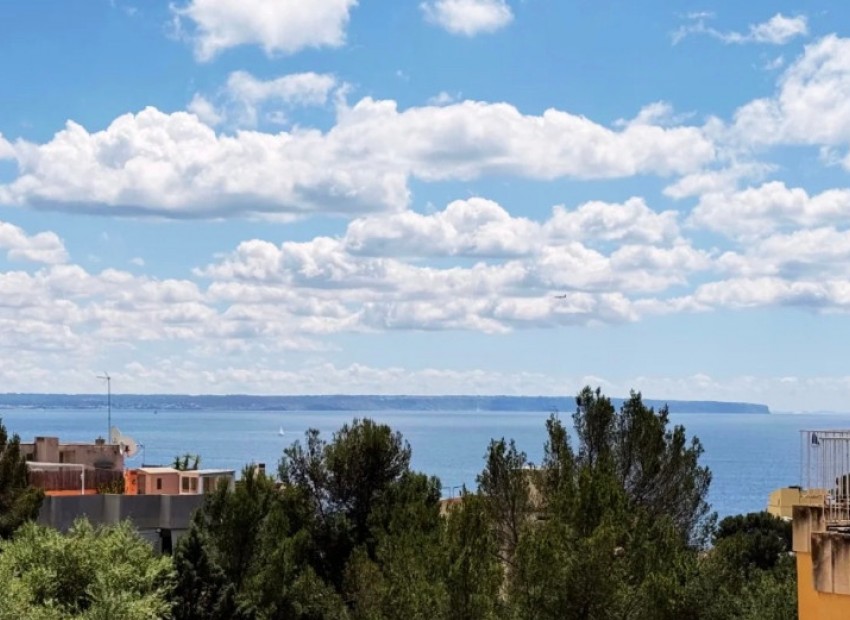 Wiederverkauf - Wohnung -
PALMA - Sant Agustí