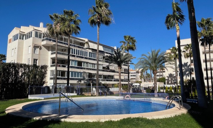 Wohnung - Wiederverkauf - Albir - SE5255-S
