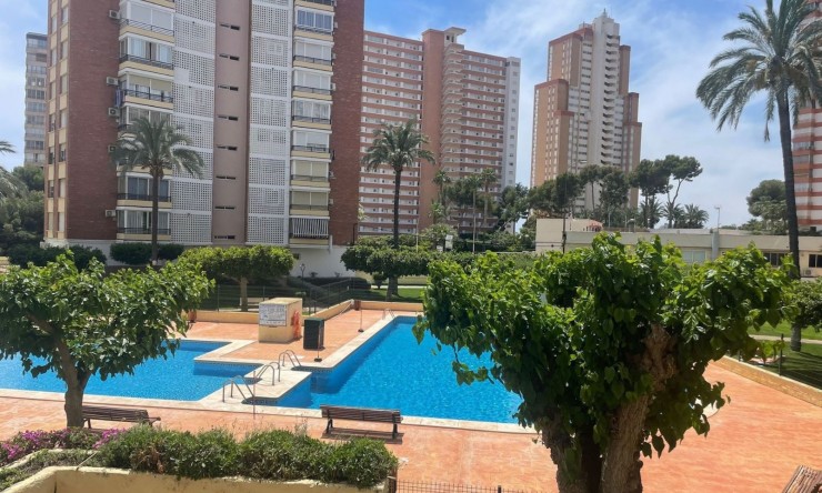 Wohnung - Wiederverkauf - Benidorm - Playa Poniente