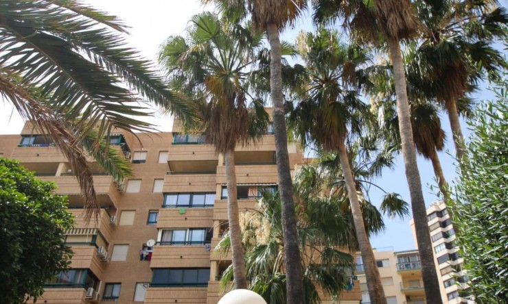 Wohnung - Wiederverkauf - Benidorm - Playa Poniente