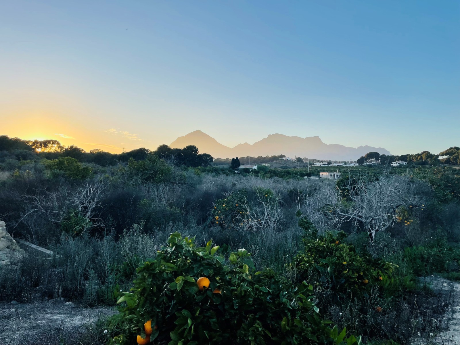 Verkauf. Gewerbliche Räume in Altea