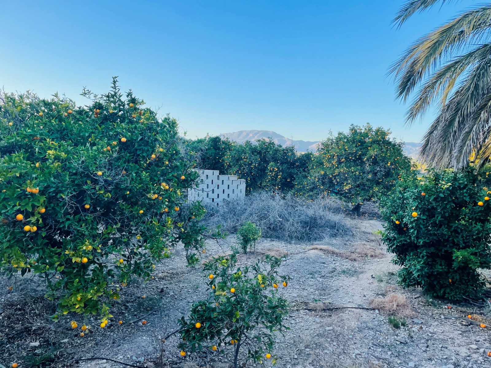 Verkauf. Gewerbliche Räume in Altea
