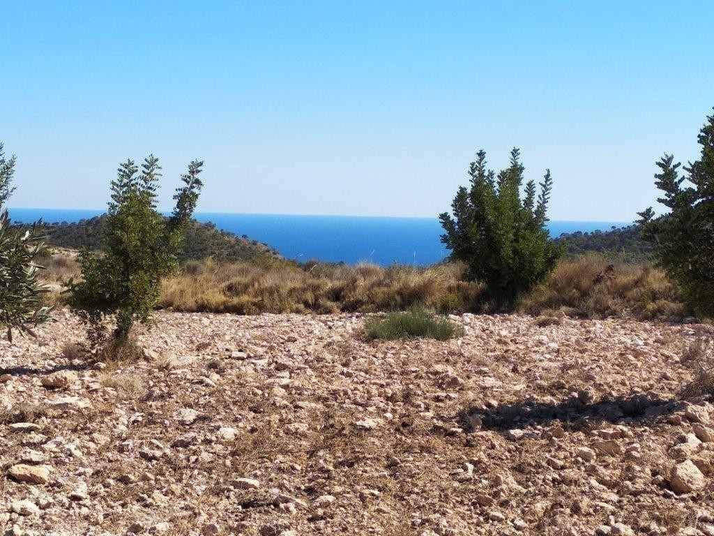 Venta. Local comercial en Relleu
