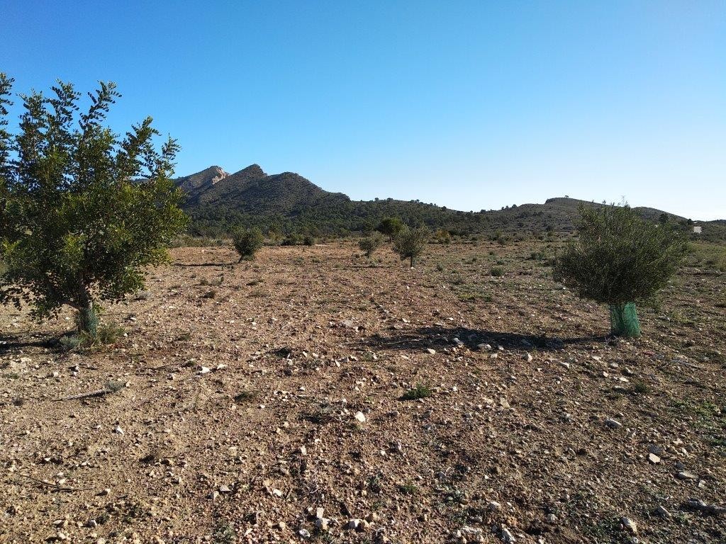 Venta. Local comercial en Relleu