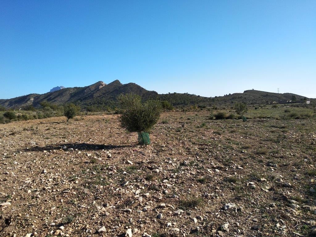 Venta. Local comercial en Relleu