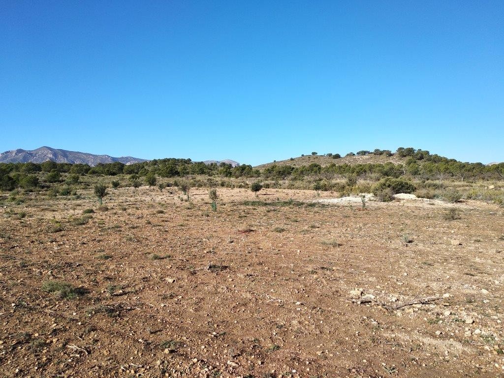 Venta. Local comercial en Relleu