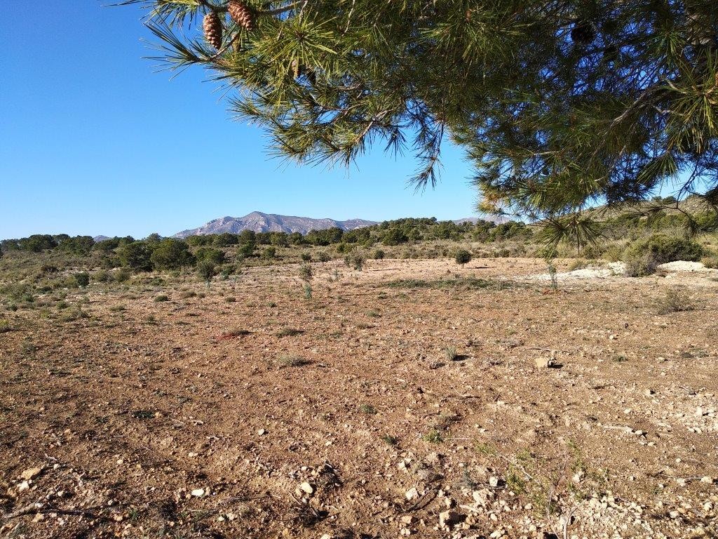 Venta. Local comercial en Relleu