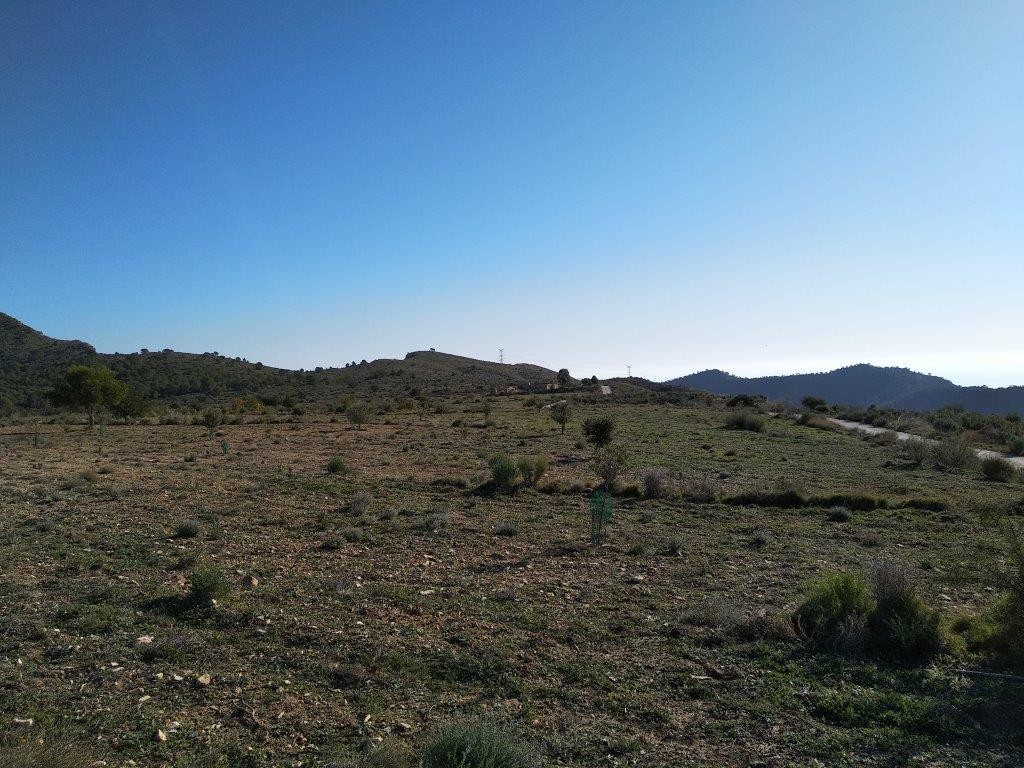 Venta. Local comercial en Relleu