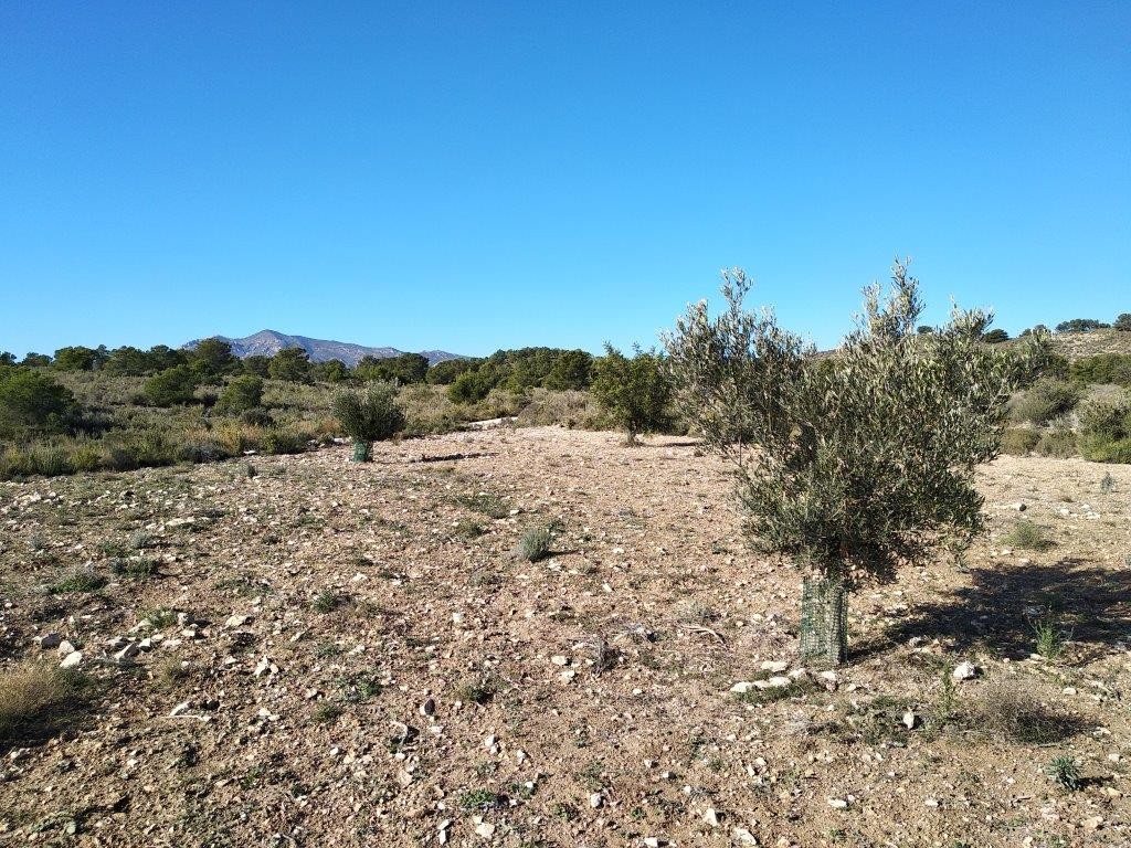 Venta. Local comercial en Relleu