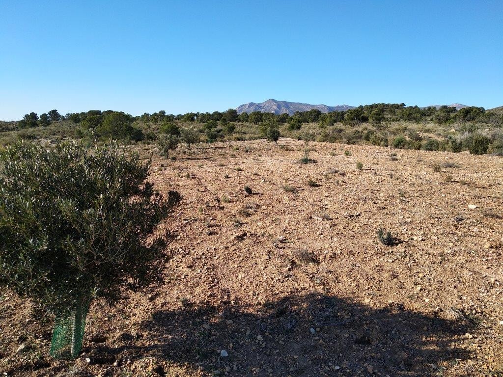 Venta. Local comercial en Relleu
