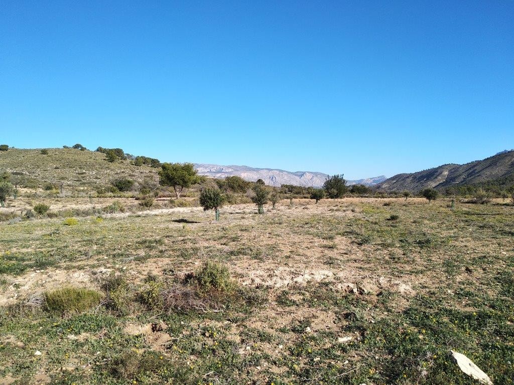 Venta. Local comercial en Relleu