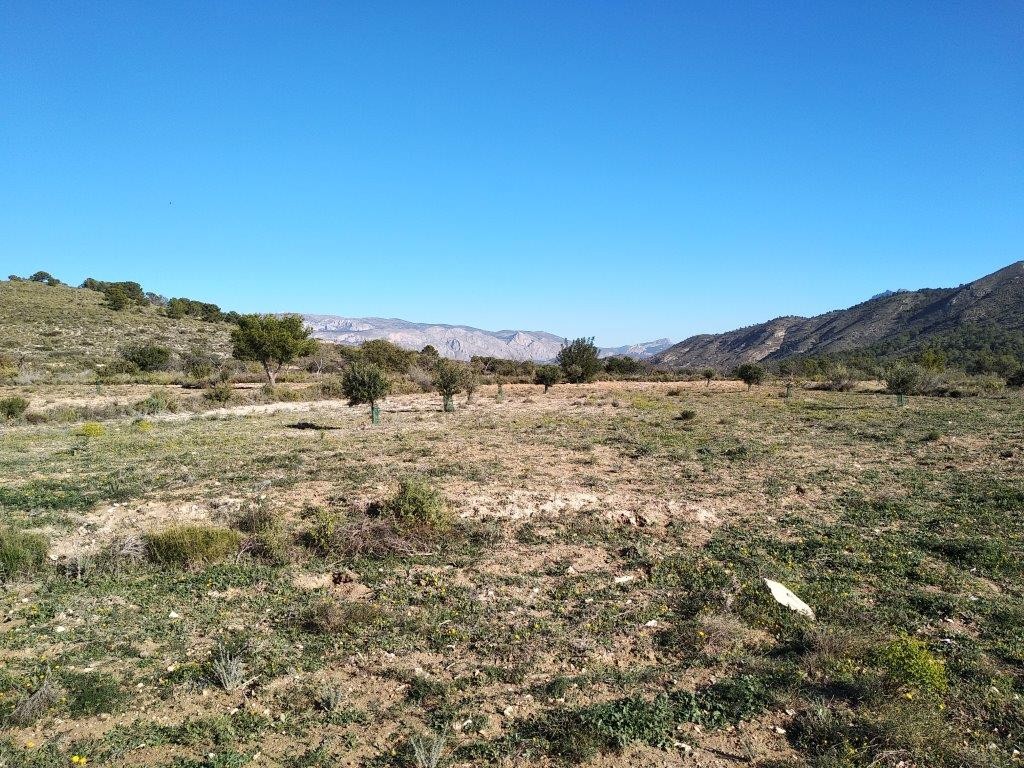 Venta. Local comercial en Relleu