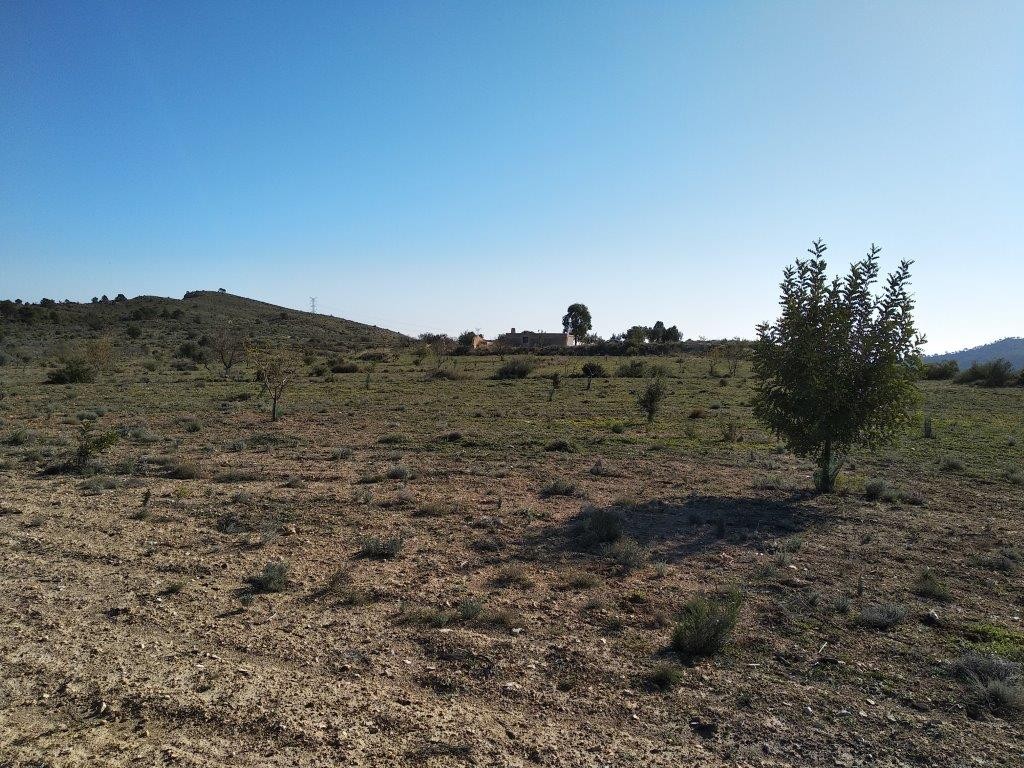 Venta. Local comercial en Relleu