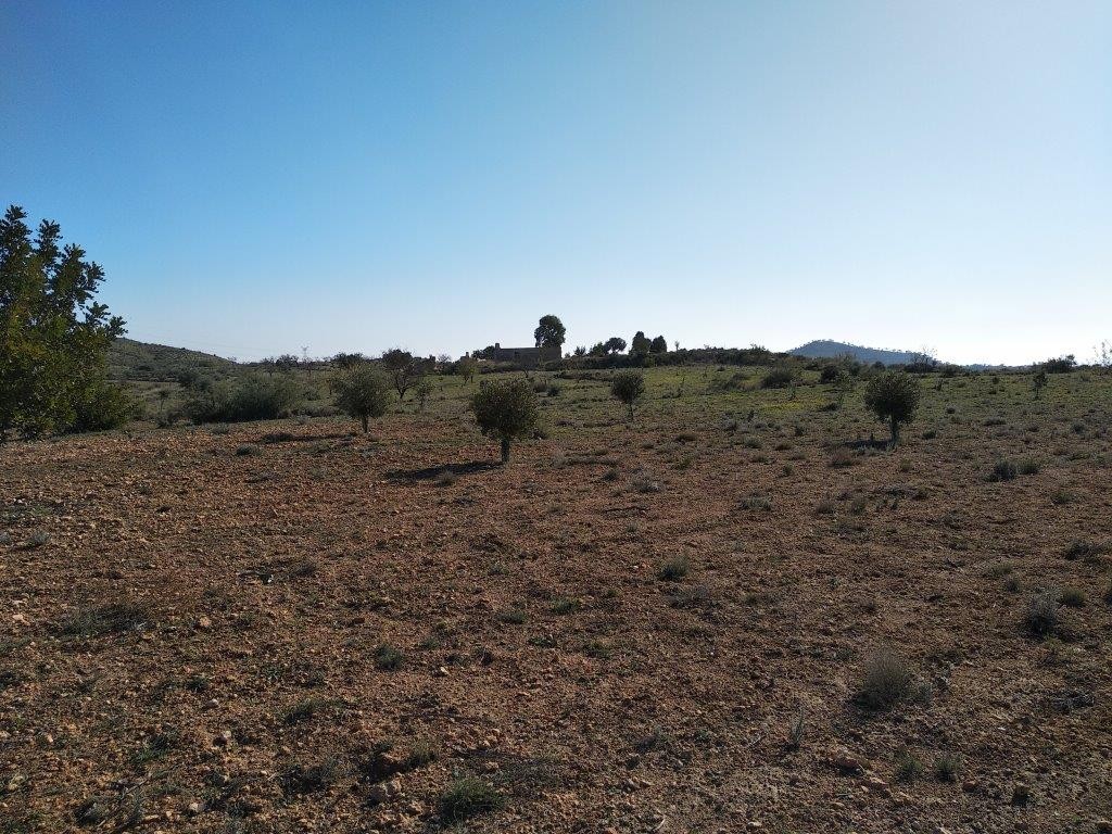 Venta. Local comercial en Relleu