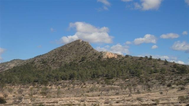 Venta. Local comercial en Relleu