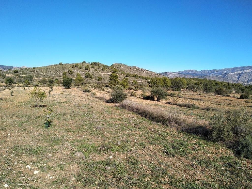 Venta. Local comercial en Relleu