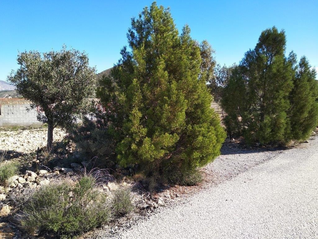 Venta. Local comercial en Relleu