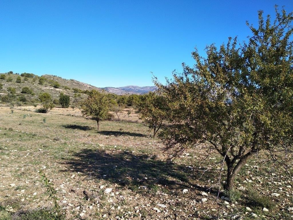 Venta. Local comercial en Relleu