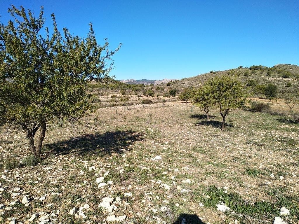 Venta. Local comercial en Relleu