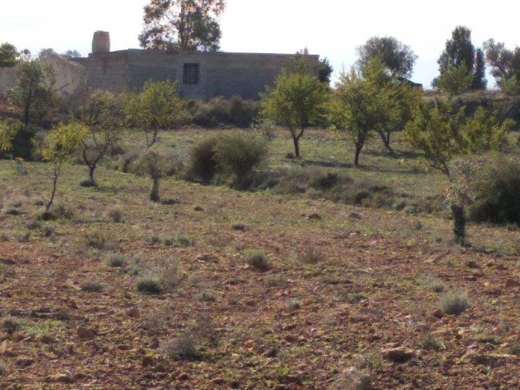 Venta. Local comercial en Relleu