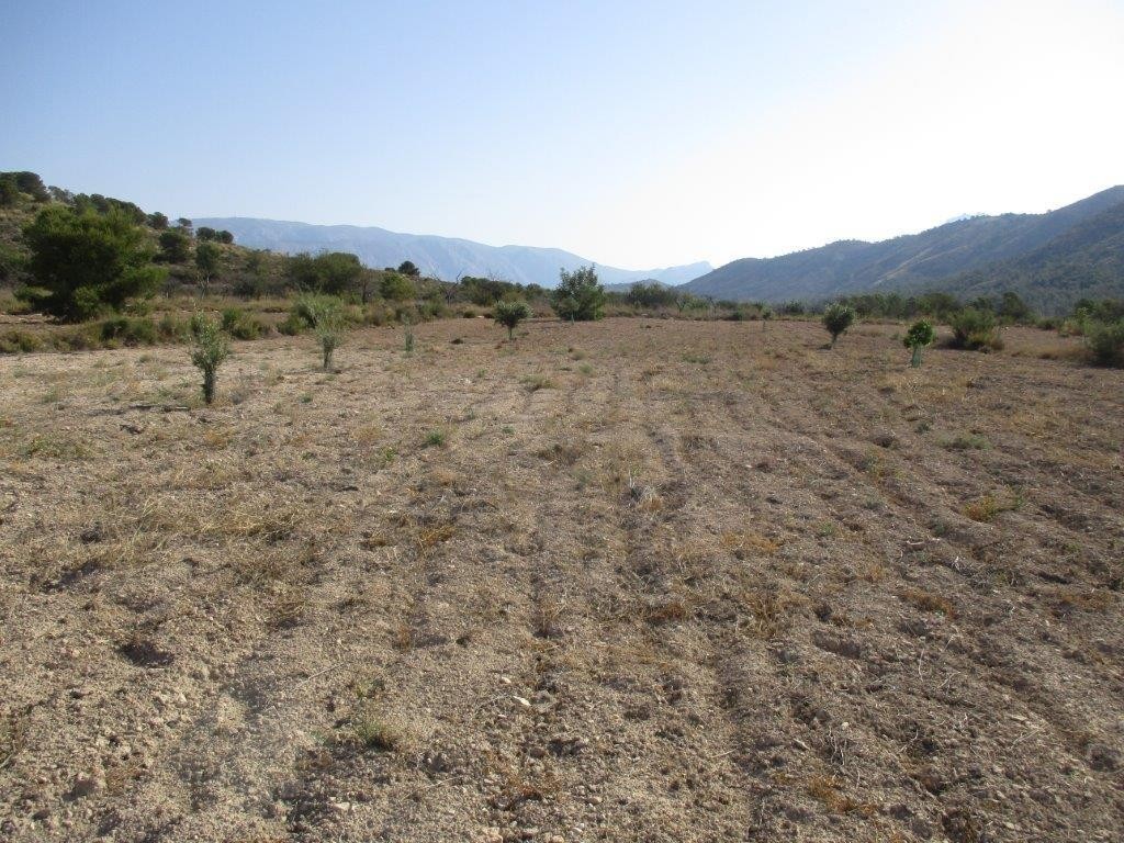 Venta. Local comercial en Relleu