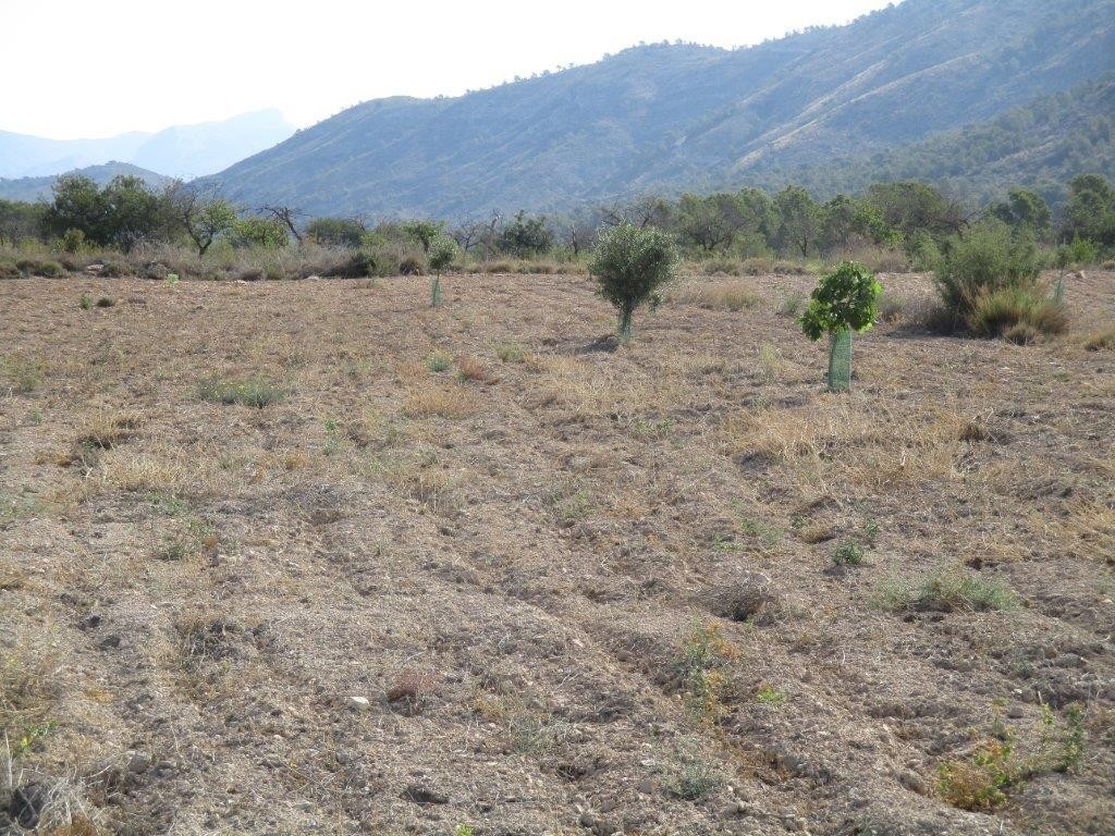 Venta. Local comercial en Relleu