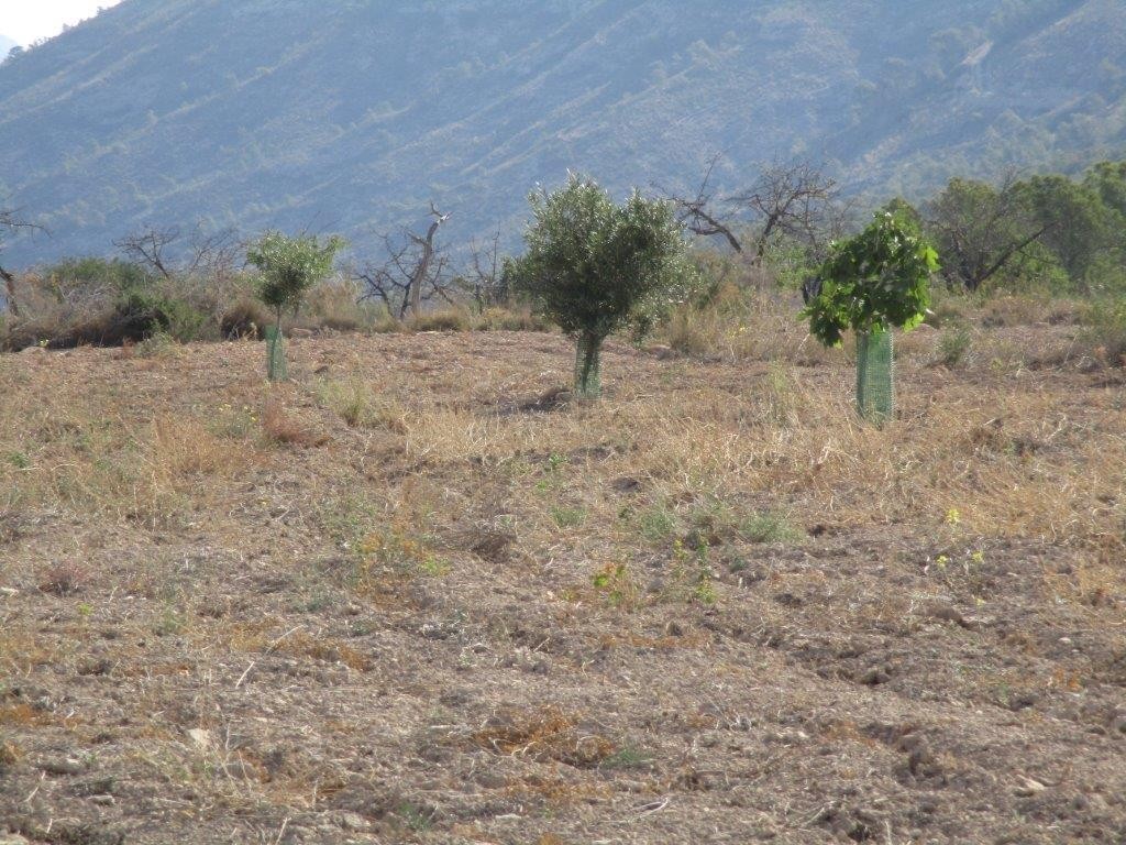 Venta. Local comercial en Relleu