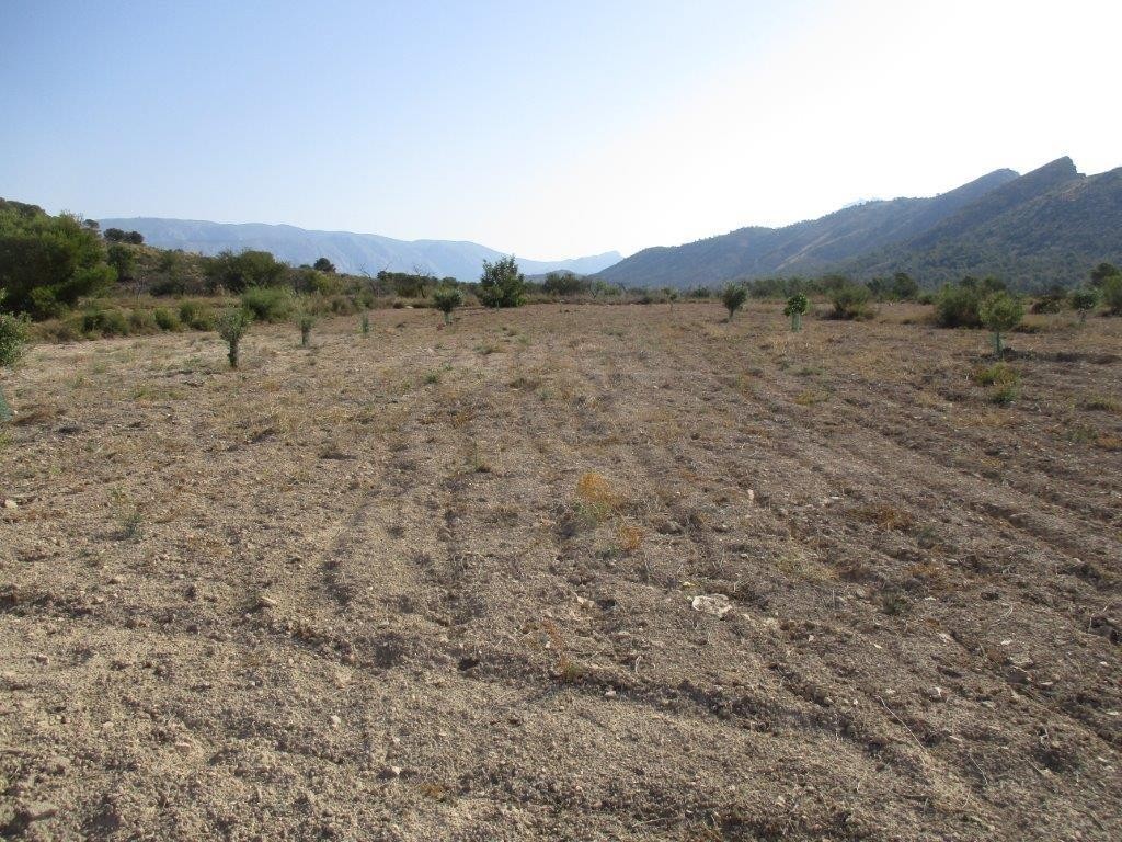 Venta. Local comercial en Relleu