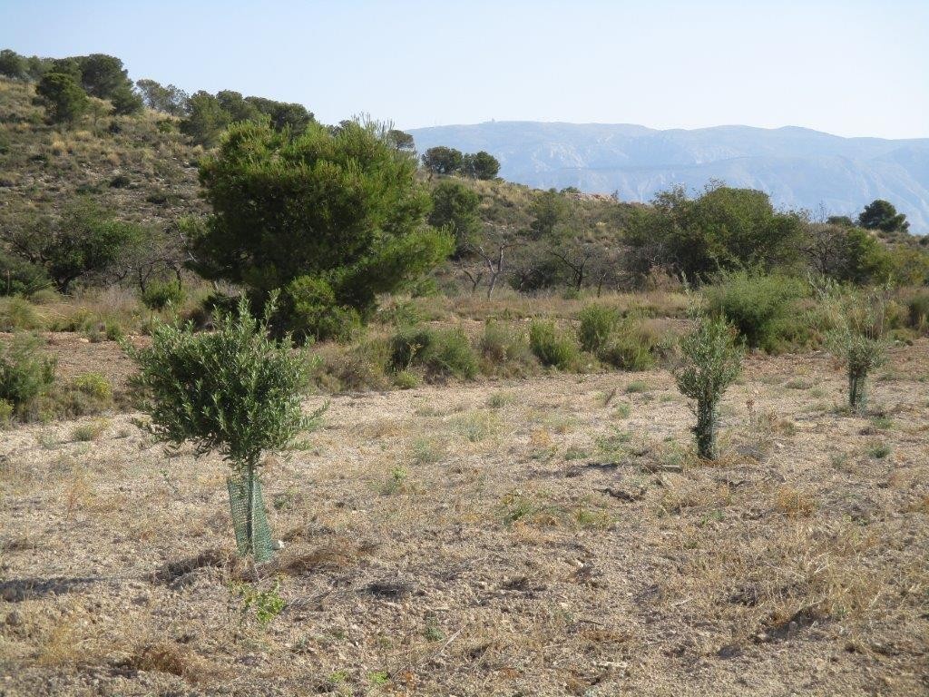 Venta. Local comercial en Relleu