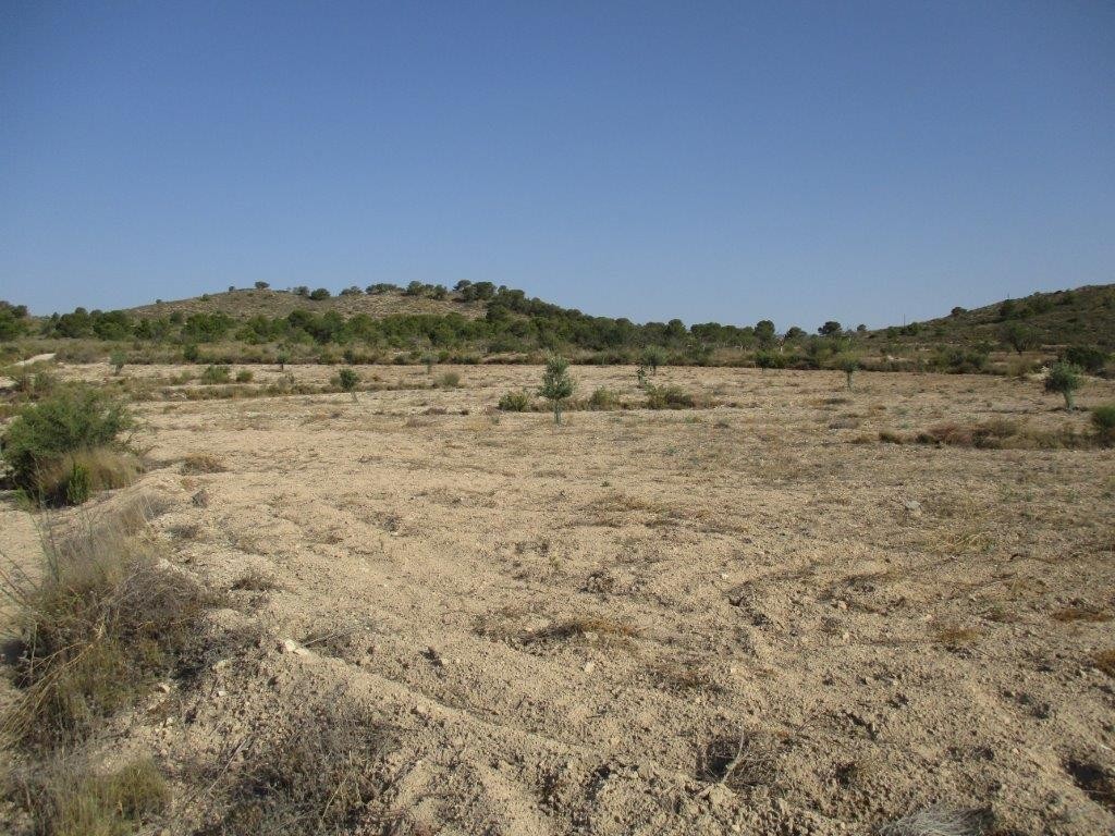 Venta. Local comercial en Relleu