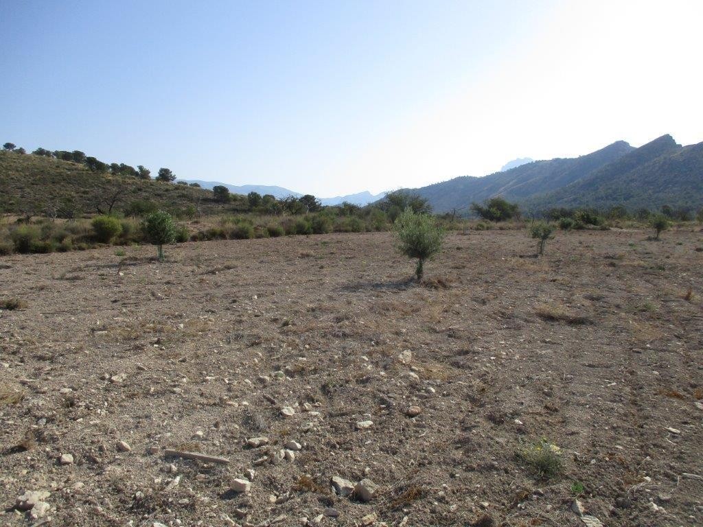 Venta. Local comercial en Relleu