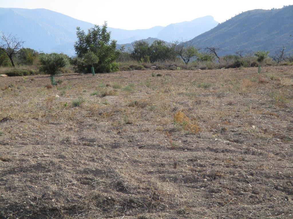 Venta. Local comercial en Relleu