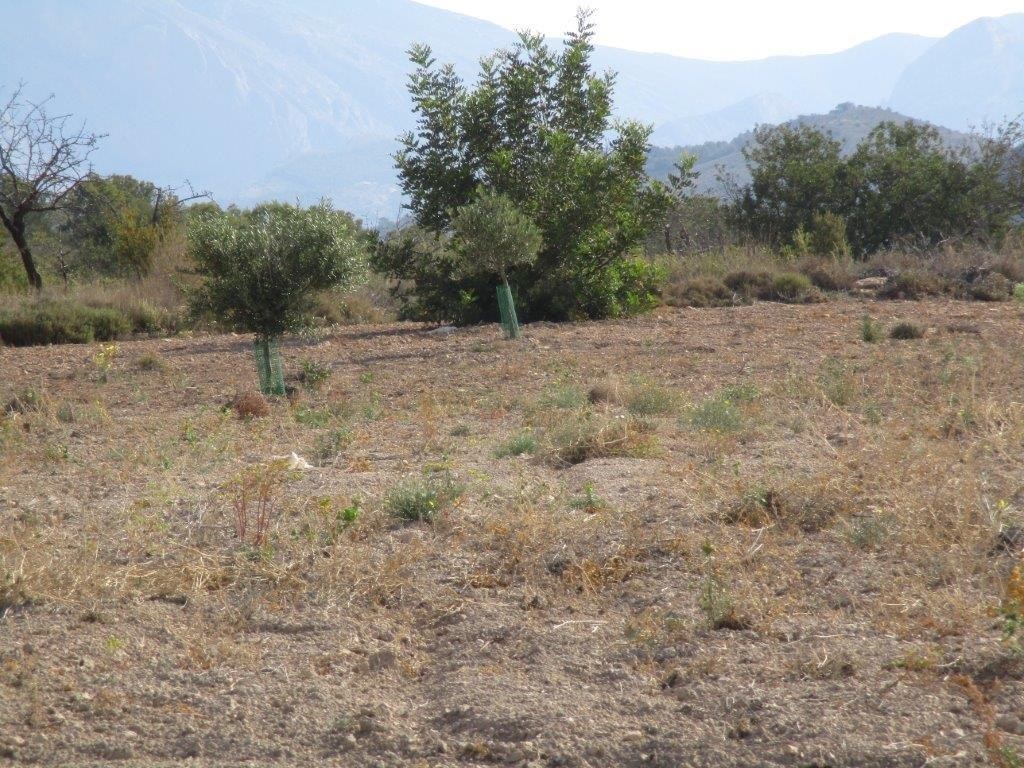 Venta. Local comercial en Relleu