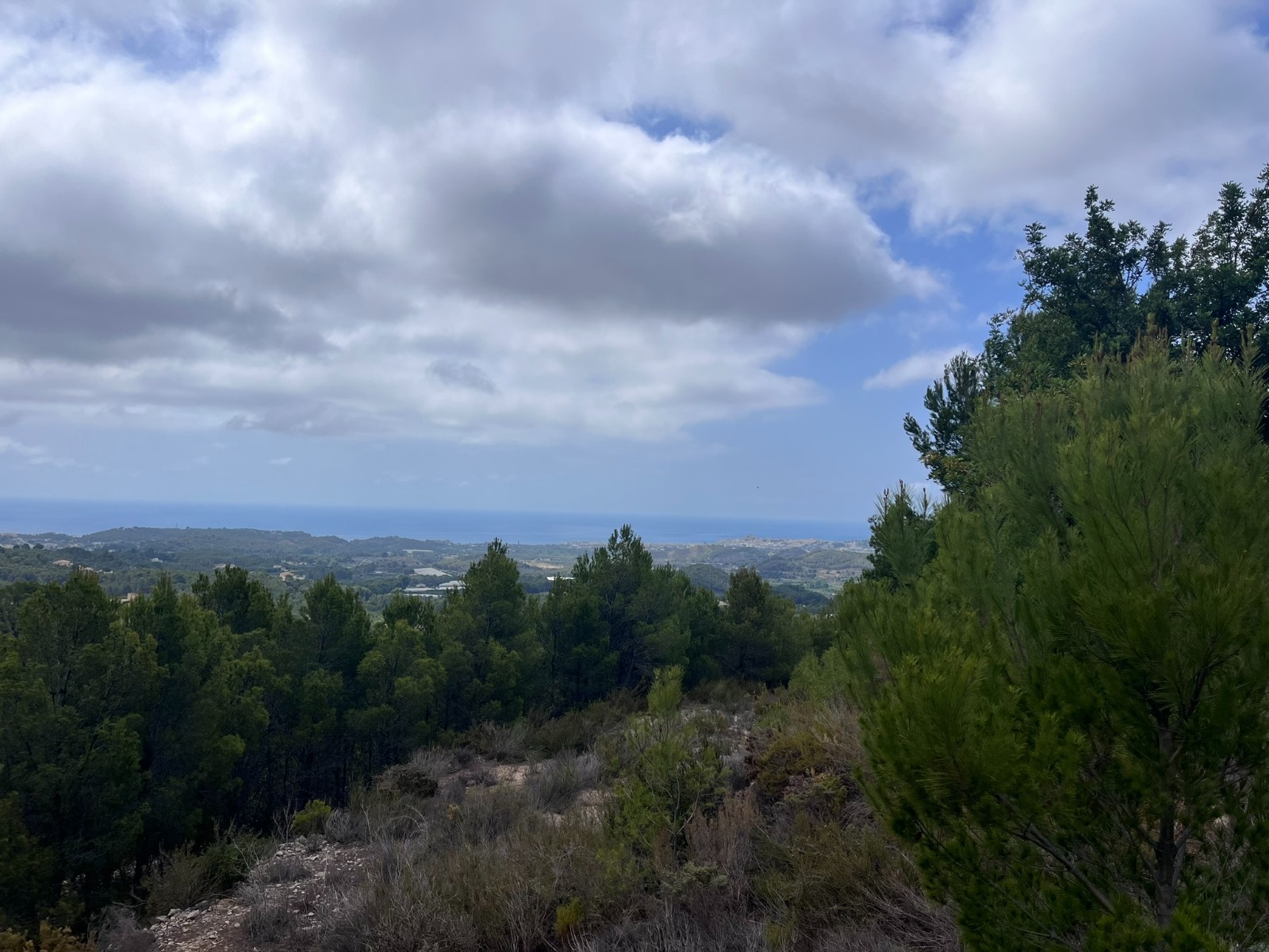For Sale. Commercial premises in Altea