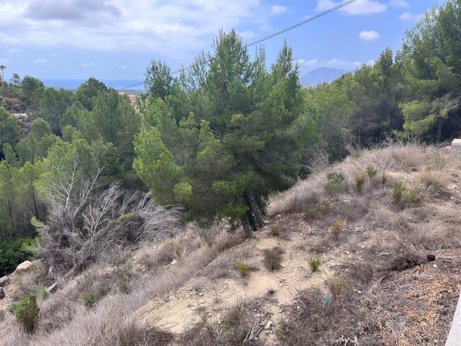 For Sale. Commercial premises in Altea