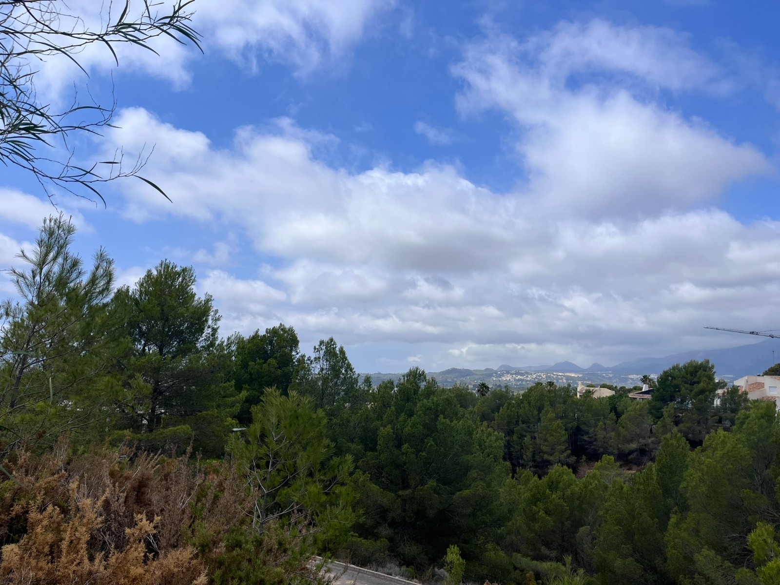 For Sale. Commercial premises in Altea