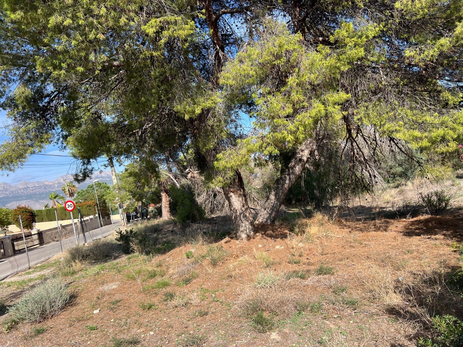 Venta. Local comercial en La Nucia